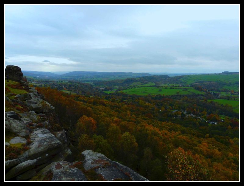 a walk in the park.jpg